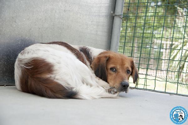 Ken, il silenzio negli occhi di chi ha perso tutto Foto 2